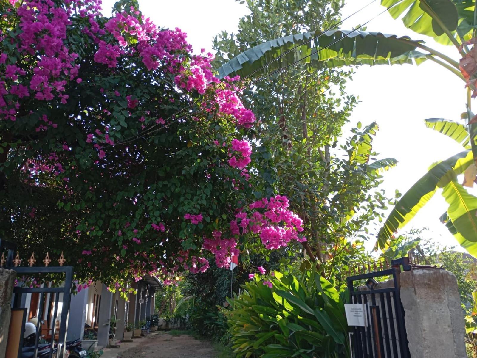 לבואן באג'ו Wl Guesthouse מראה חיצוני תמונה