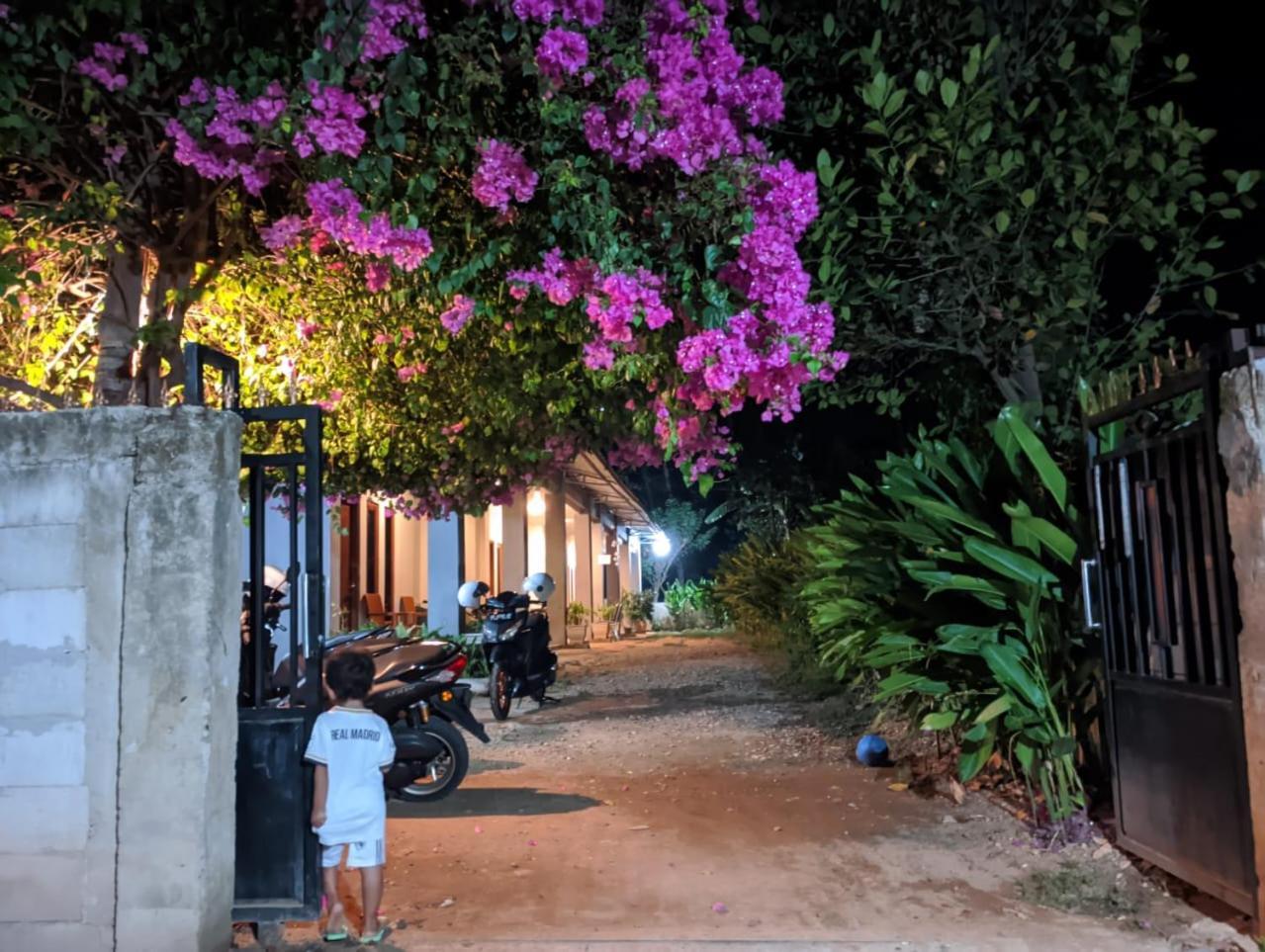 לבואן באג'ו Wl Guesthouse מראה חיצוני תמונה